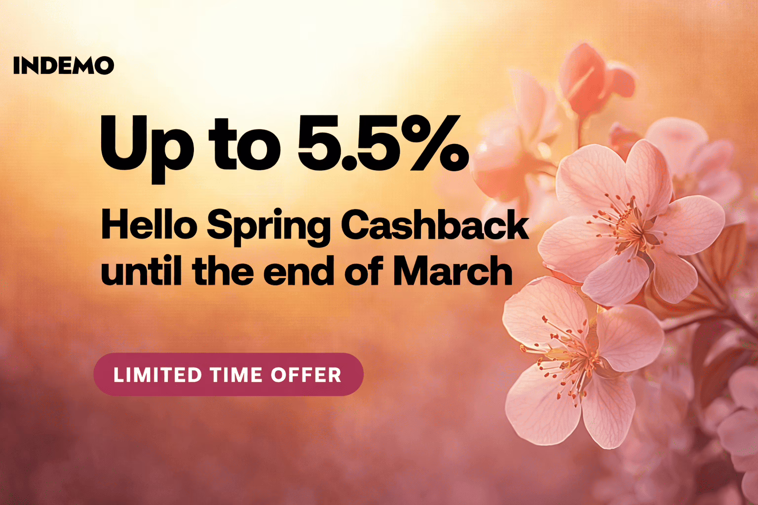 Indemo exklusives VIP Cashback Angebot 2026